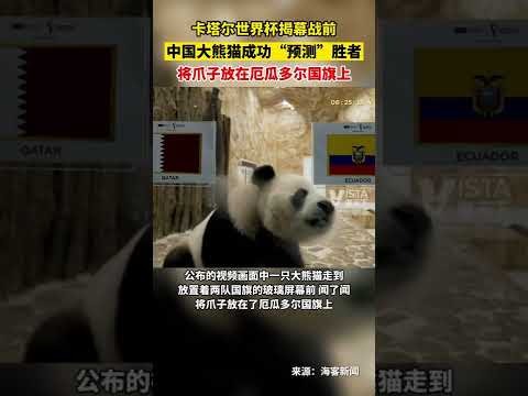 凯尔遗憾,面对莱比锡,全面压制,世界杯竞猜,2026世界杯,竞猜技巧,赛事分析,足球预测