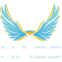 激情意甲巅,峰对决,信心满满,世界杯竞猜,2026世界杯,竞猜技巧,赛事分析,足球预测