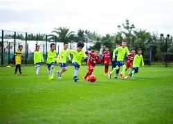 篮球比赛解,国王与勇士,对决专家解,世界杯竞猜,2026世界杯,竞猜技巧,赛事分析,足球预测