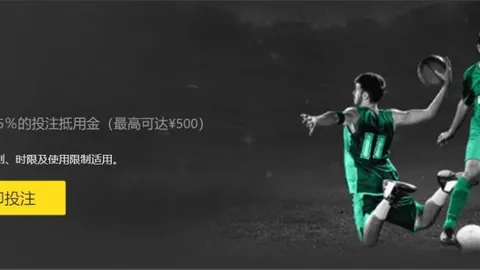 美国网球精英队荣获2025联合杯冠军